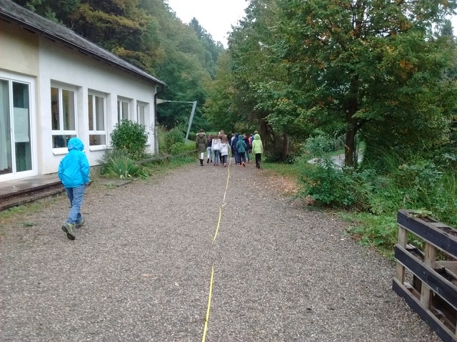 Privatschule Knallerbse Privatschule Knallerbse