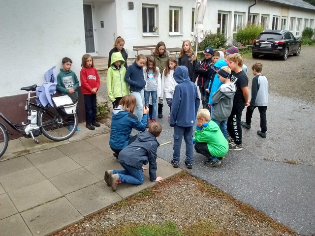 Privatschule Knallerbse Privatschule Knallerbse
