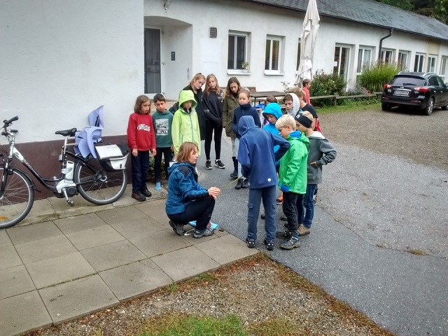 Privatschule Knallerbse Privatschule Knallerbse